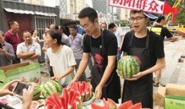 今日吃瓜-热心的朝阳群众吃瓜